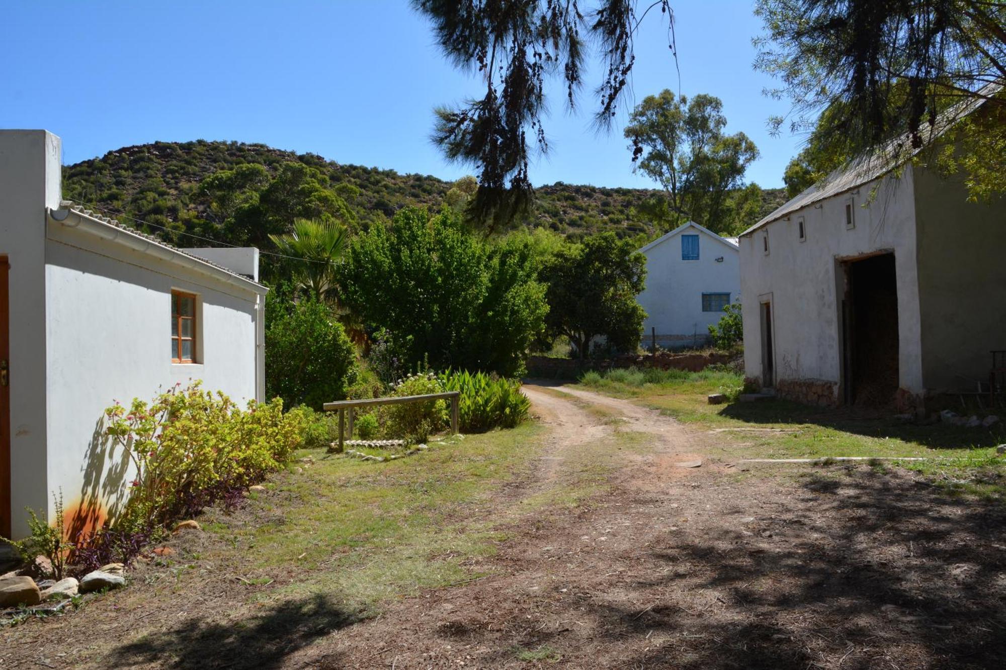 The Country Garden Ladismith