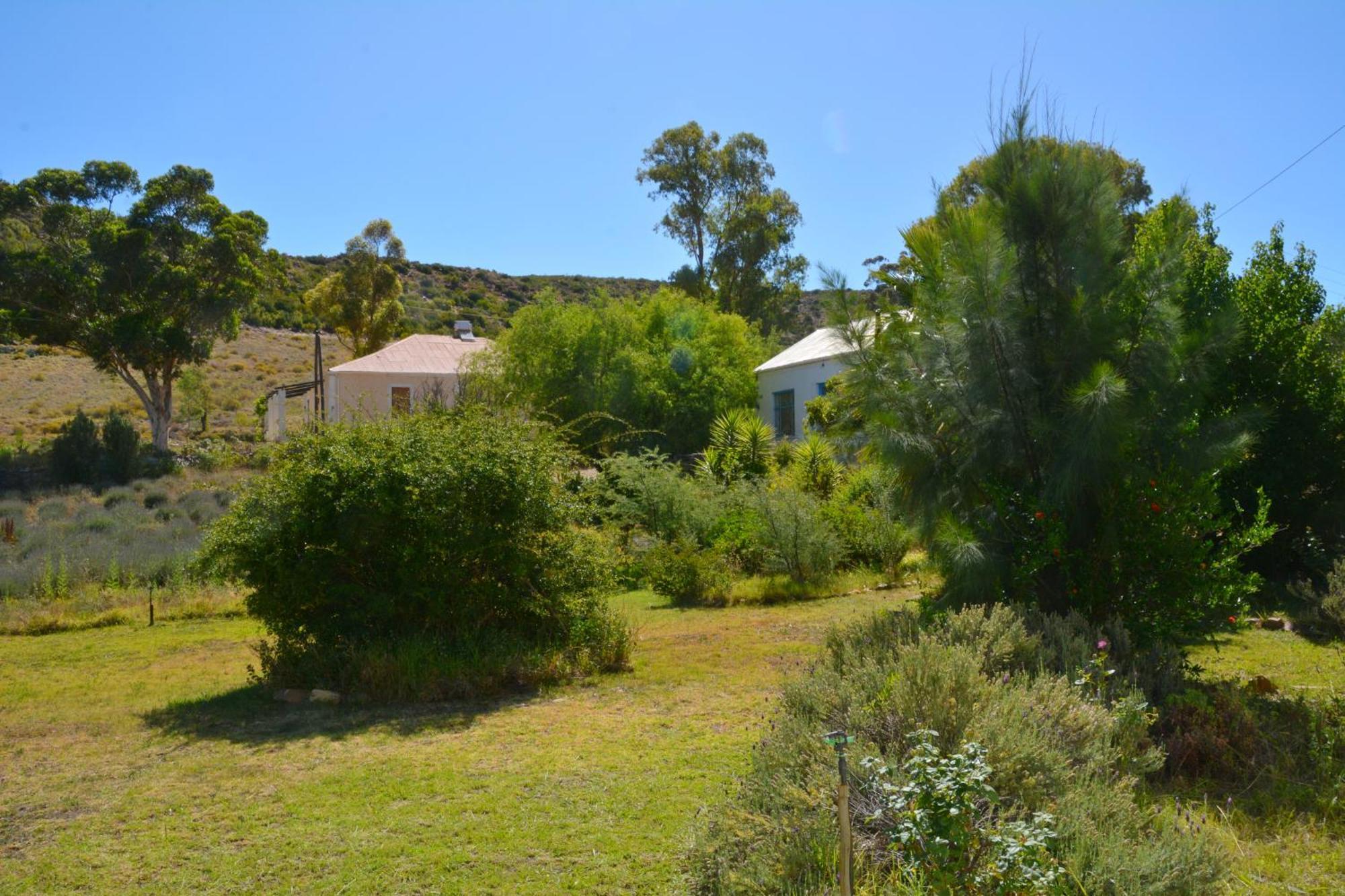 The Country Garden Farm stay *