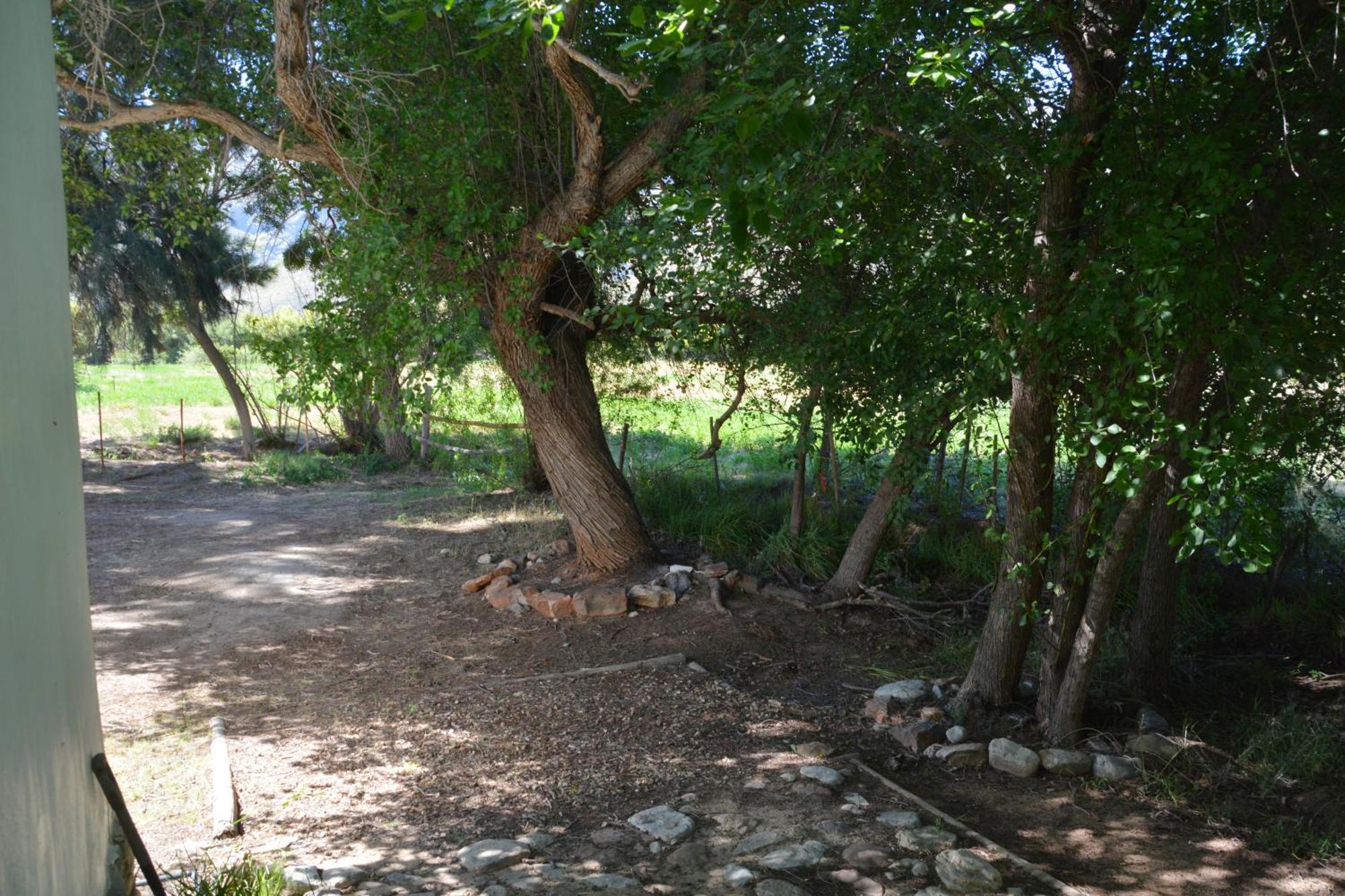The Country Garden *