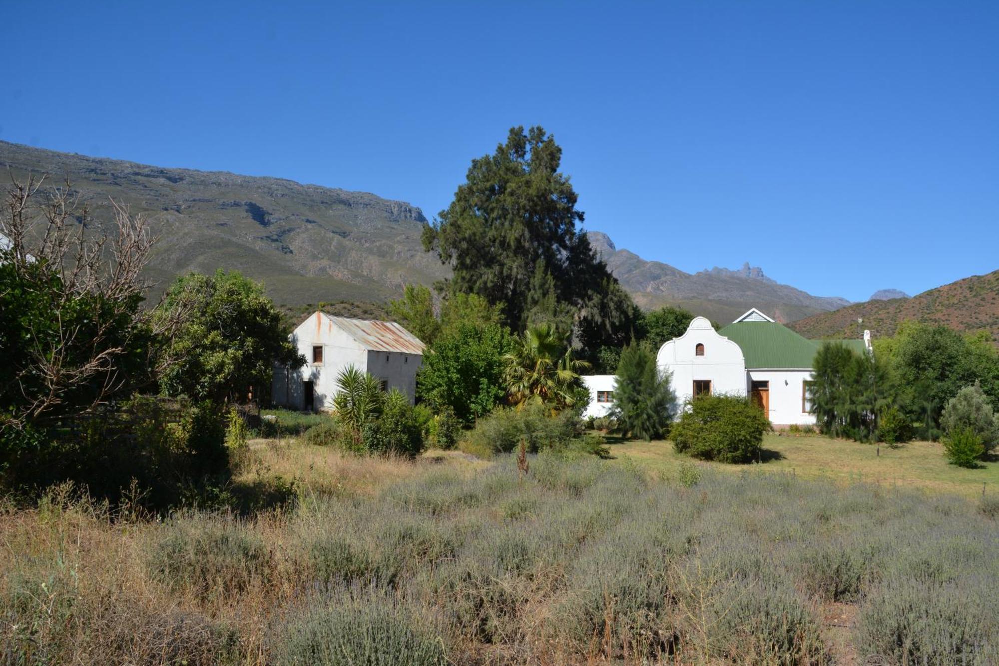 Farm stay The Country Garden *